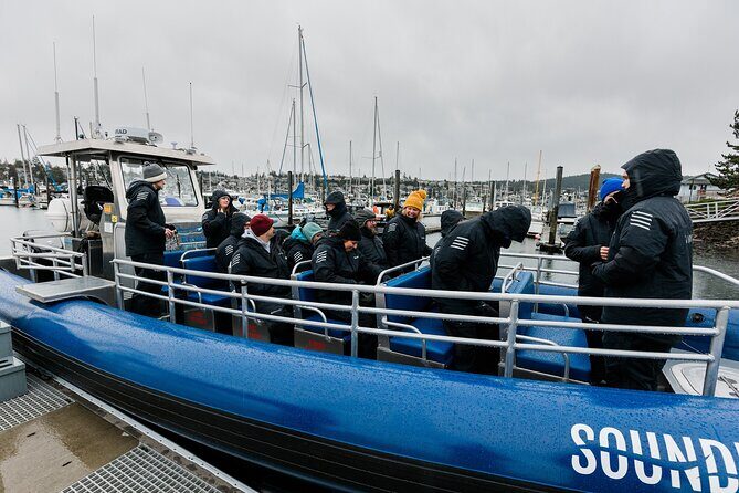 Anacortes Whale Watching Adventure Tour - Zodiac Boat - The Sum Up
