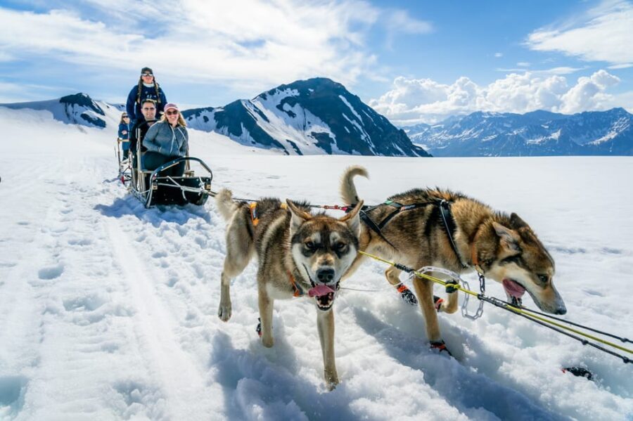 Anchorage Area: Helicopter and Glacier Dogsled Tour - The Itinerary in Detail