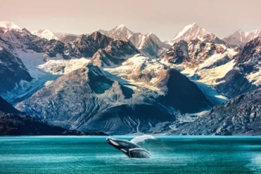 Anchorage: Kenai Fjords & Denali National Park 5 Day Tour