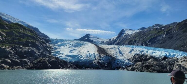 Anchorage: Portage Glacier and Wildlife Explorer Cruise - Who Would Love This Tour?