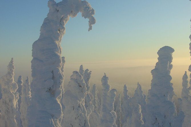 Arctic Circle Winter Drive Adventure - What Sets This Tour Apart