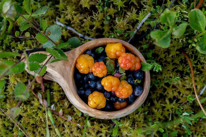Arctic Wilderness Hike with Fire-making - Who Should Consider This Tour?