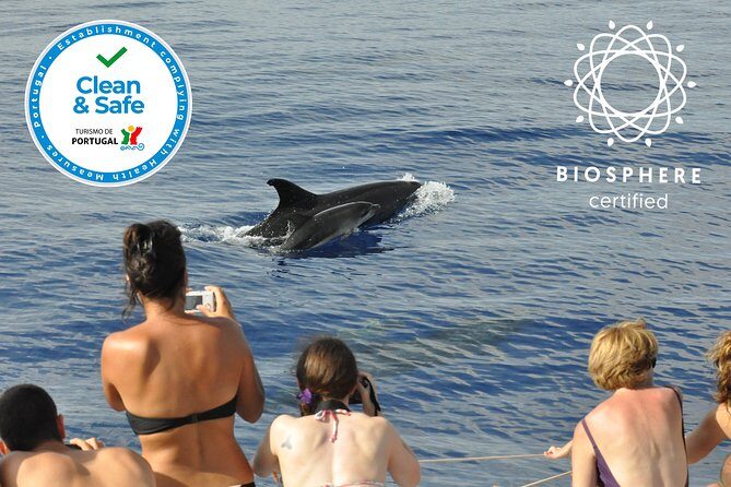 Arieiro Peak and Cristo Rei 4x4 Experience + Dolphins Watching - Practical Details and Logistics