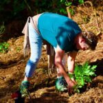 Arieiro Peak, Santana & Ponta São Lourenço in Open Roof 4X4 Tour - Off-Road Adventure and Local Insights