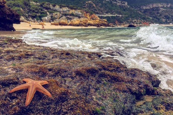 Arrábida Jeep Tour  Europe's Most Beautiful Beach & Hidden Gems - The Logistics: What to Expect