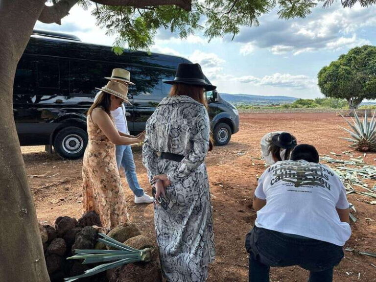 Artisanal Tequila Experience in Private Luxury SUV Local - An In-Depth Look at the Tour
