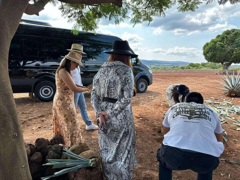 Artisanal Tequila Experience in Private Luxury SUV Local - An In-Depth Look at the Tour