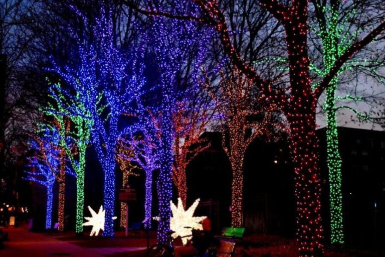 Atlanta: Christmas Walking Tour - Final thoughts: who should consider this tour?