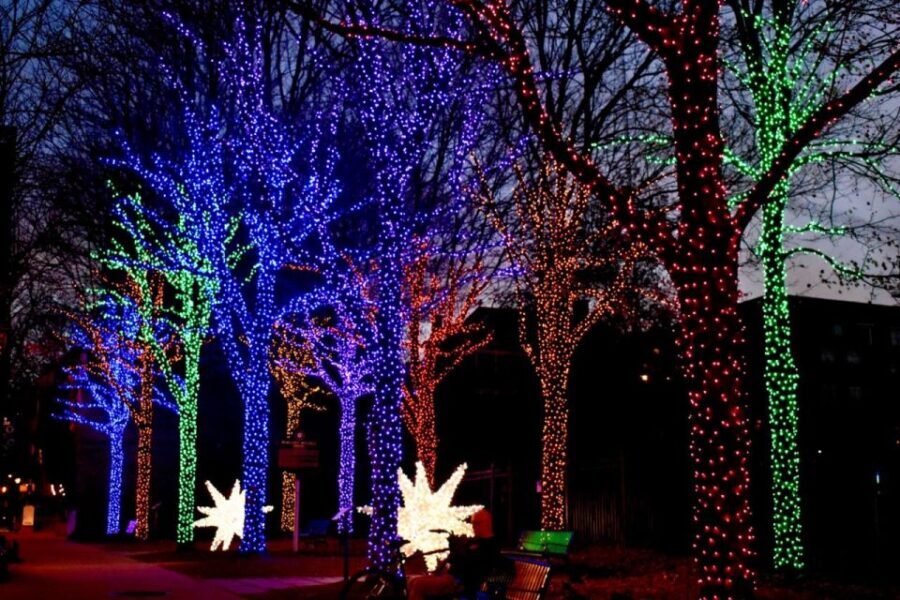 Atlanta: Christmas Walking Tour - Final thoughts: who should consider this tour?
