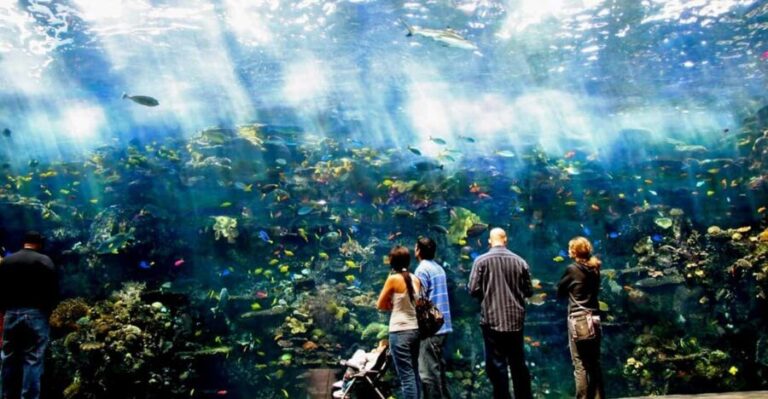 Atlanta: Georgia Aquarium Skip-the-Box-Office Entry Ticket - Tips for Your Visit