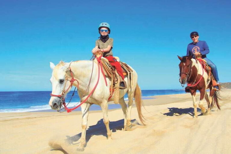 ATV Automatic 4X4 & Horseback riding in Cabo by Cactus Tours - The Quad Bike Ride: An Exciting Ride Across Baja’s Varied Terrain