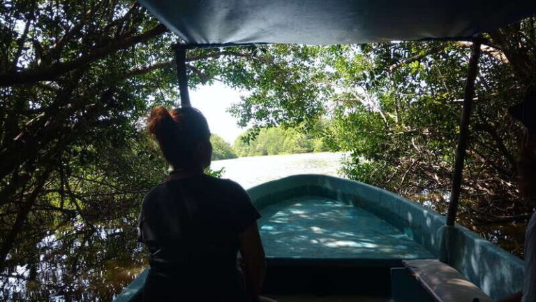 .Baby Turtle Release, Lagoon Boat Ride, and Crocodile Farm - The Journey Begins with Convenience and Comfort