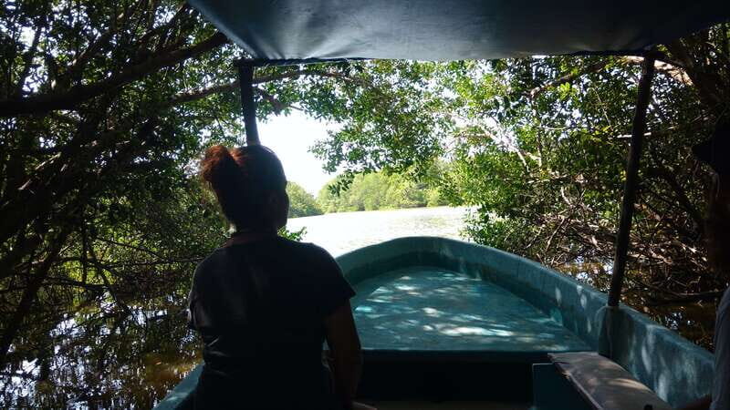 .Baby Turtle Release, Lagoon Boat Ride, and Crocodile Farm - The Journey Begins with Convenience and Comfort