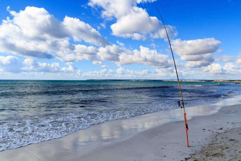 Baja: Adventure Shore Fishing - Explore La Ventana on ATV - The ATV Experience: More Than Just Transportation