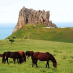 Baku:Guba,Shahdag and Candy Cane Mountain Lunch included - Practical Details That Matter
