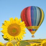Balloon Rides in Segovia with Optional transportation from Madrid - Practical Details and Tips