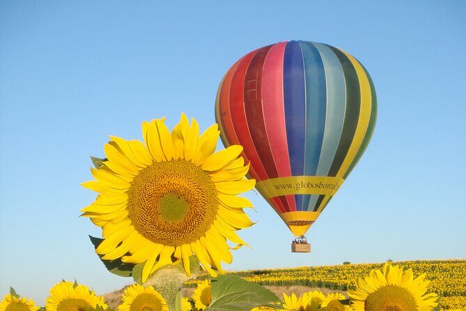 Balloon Rides in Segovia with Optional transportation from Madrid - Practical Details and Tips