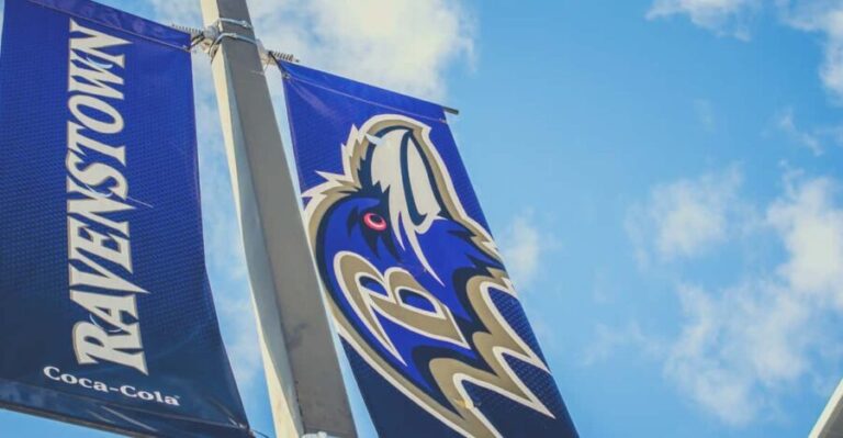 Baltimore: Ravens Football Game Ticket at M&T Bank Stadium - Who This Experience Is Perfect For