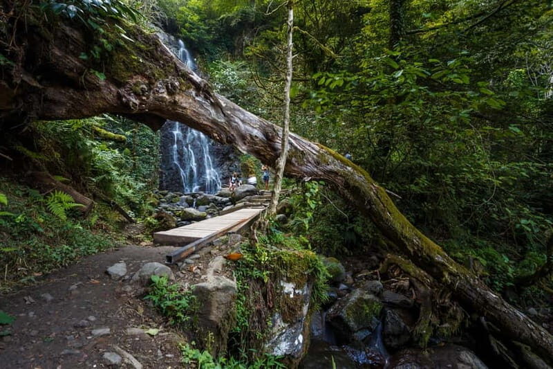 Batumi, Waterfalls & Folklore - group tour from Kutaisi - Who Is This Tour Perfect For?