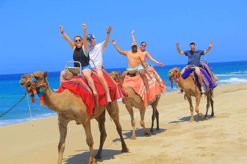 Beach ATV & Camel Ride COMBO in Cabo by Cactus Tours Park - The Scenic Beach Setting and Guides