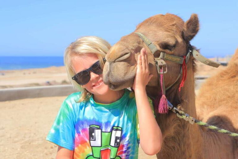 Beach Camel Ride & Encounter in Cabo by Cactus tours park - Detailed Breakdown of the Itinerary