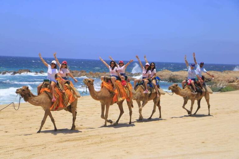 Beach CAN-AM SXS X3 & Camel Ride in Cabo by Cactus Tours - Introduction: What’s This Tour All About?