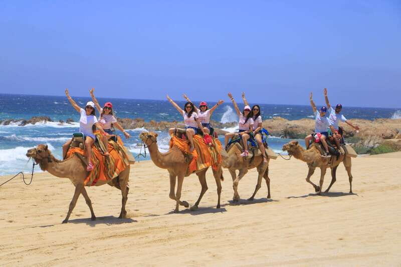 Beach CAN-AM SXS X3 & Camel Ride in Cabo by Cactus Tours - Introduction: What’s This Tour All About?
