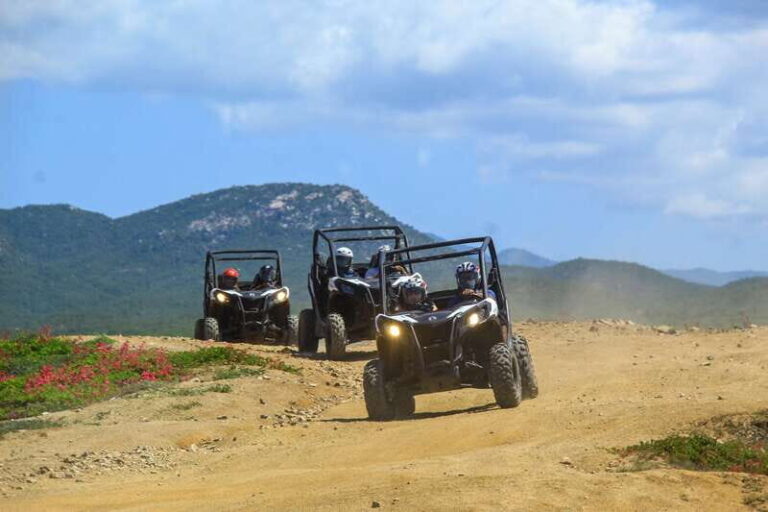 Beach & Desert UTV Tour in Cabo - Who Should Consider This Tour?