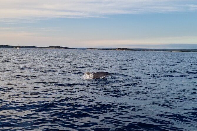 Beautiful Sunset and Dolphin Watching - The Itinerary in Detail