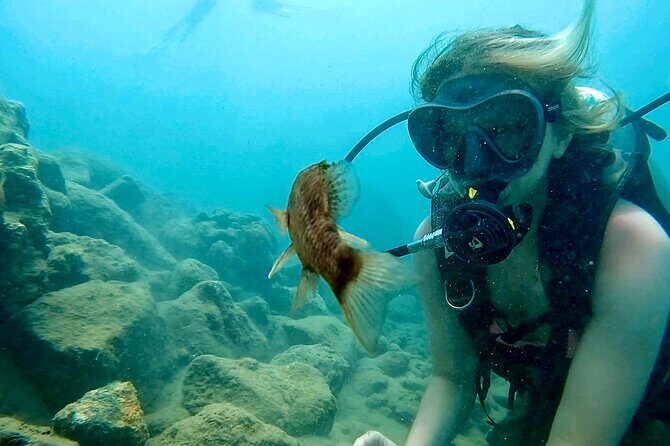 Beginner Scuba Diving Experience With Videos in West Palm Beach - The Value of This Experience
