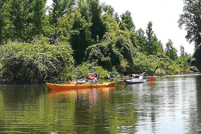 Belgrade Amazon Kayak Adventure - Who Will Love This Experience?