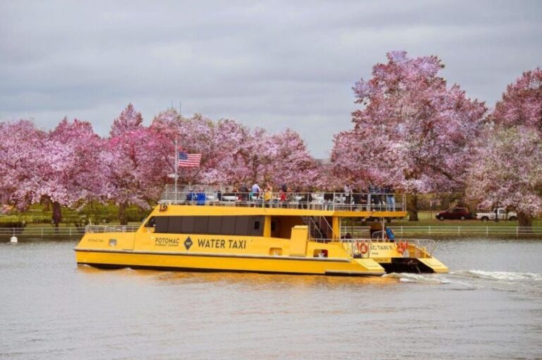 Best of DC: Hop-on Hop-off Bus Tour & Night Tour (Save 40%) - Key Stops and Highlights