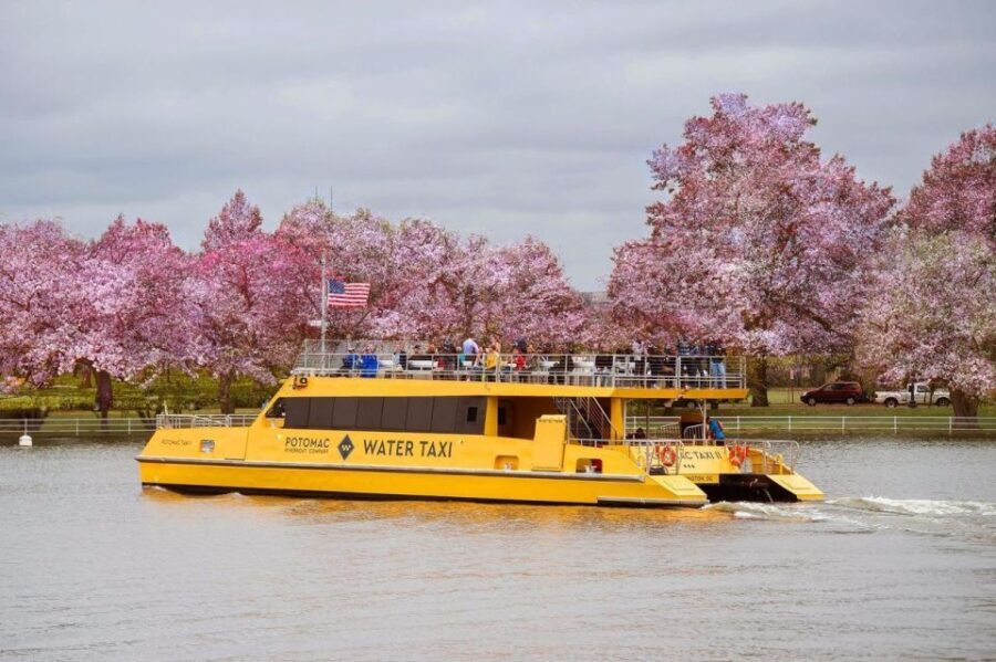 Best of DC: Hop-on Hop-off Bus Tour & Night Tour (Save 40%) - Key Stops and Highlights