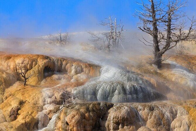 Best Of Yellowstone Full Day Nat'l Park Tour From Bozeman - The Itinerary — A Detailed Walkthrough