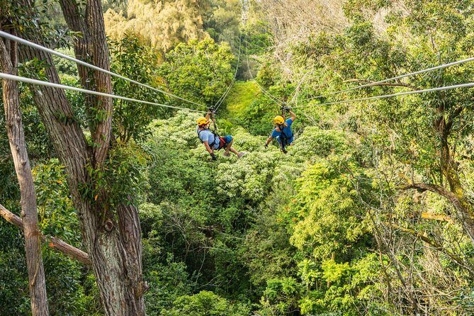 Big Island Kohala Zip and Dip Tour from Kona - Why This Tour Offers Great Value