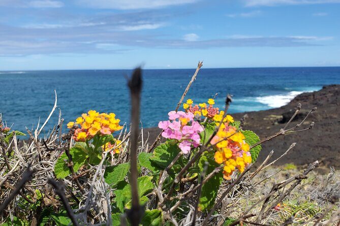 Big Island Southside ATV Tour - Final Thoughts: Is This Tour Worth It?