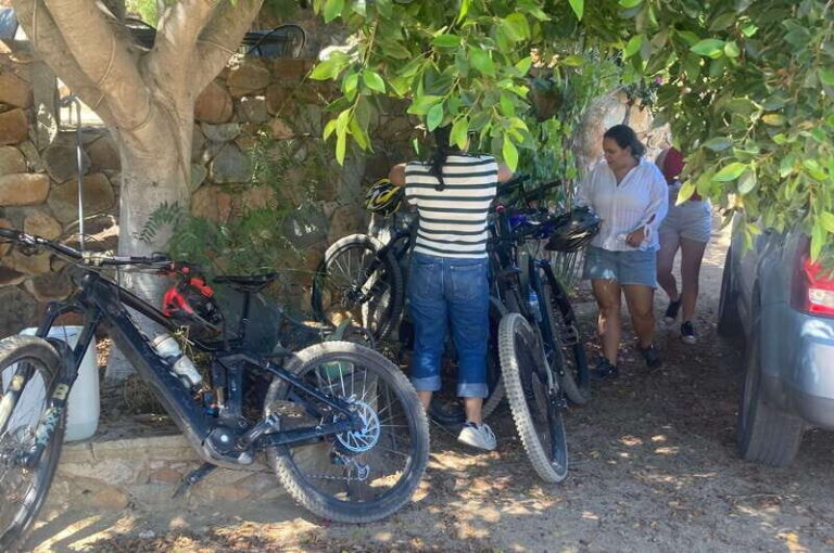 Bike and wine amazing Adventure in Valle de Guadalupe" - Itinerary Breakdown: What to Expect at Each Stop