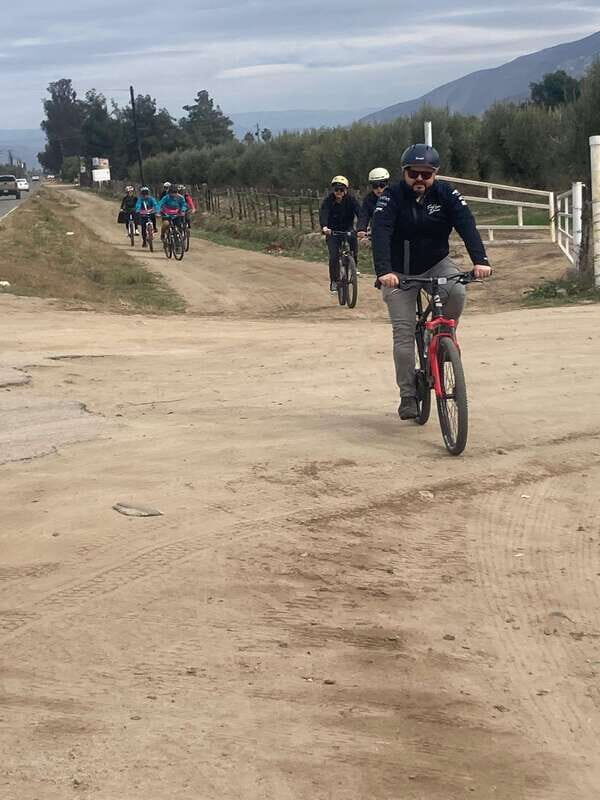 Bike Through Vineyards The best Wine in the Guadalupe Valley - Authentic Experiences and Authentic Reviews