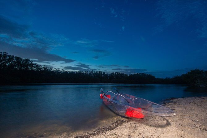 Bioluminescent Clear Kayak Tours in Titusville - Practical Details and Value