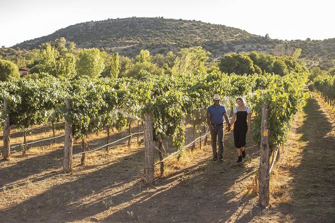 Bliss - Sedonas Most Luxurious Wine Tour - Lunch Included!