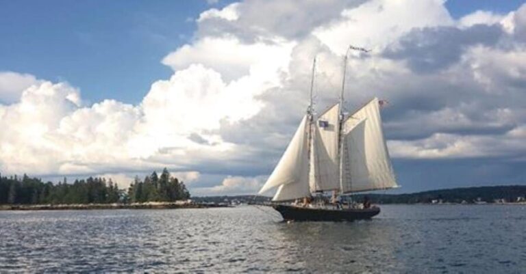 Boothbay Harbor: Schooner Apple Jack Daytime Sailing Cruise - Wildlife and Scenic Highlights