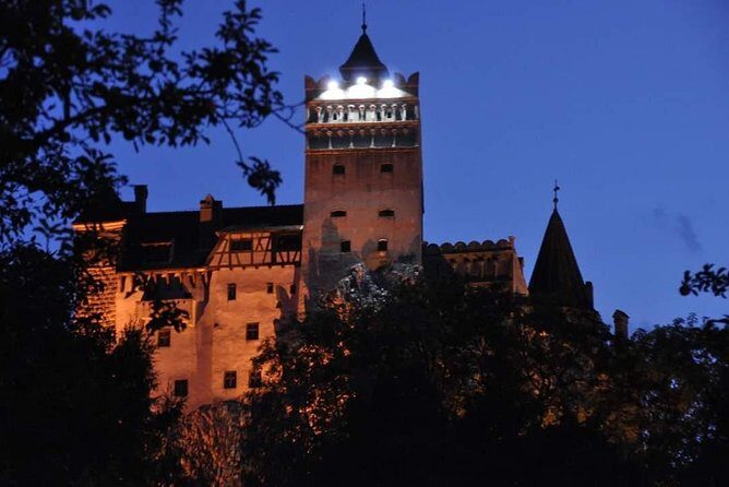 Brasov: Bear Sanctuary, Bran Castle & Rasnov Fortress GUIDED Tour - The Experience and its Value