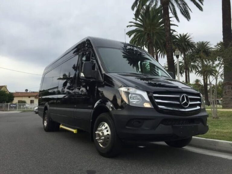 Brown Field Municipal Airport: Shuttle Service to Carlsbad - Who Is This Shuttle Best For?