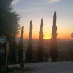 Brunello Wine Tour and Val D'Orcia Landscape - The Sum Up