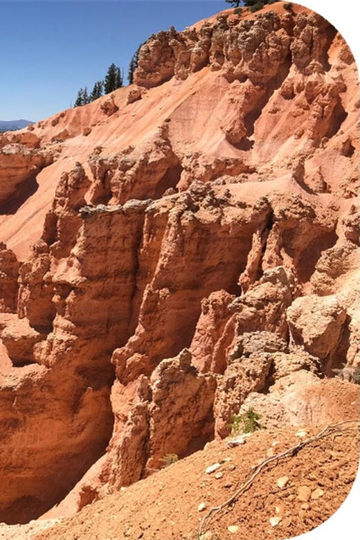 Bryce Canyon: 2-Hour, 4-Seat or 5-Seat ATV Rental - The Price and Value
