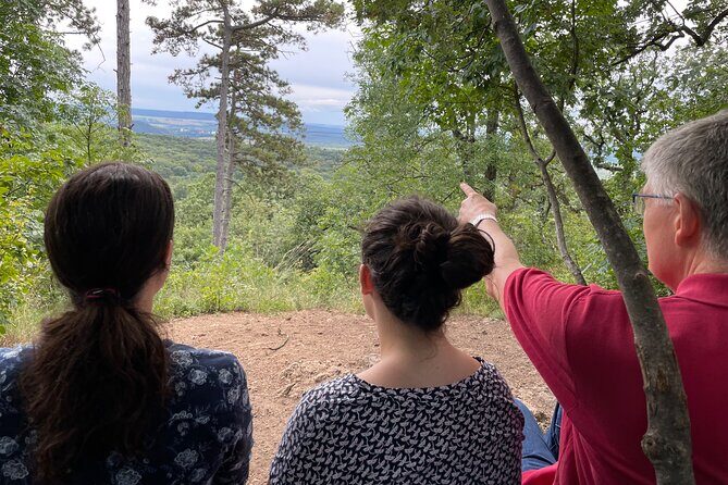 Budapest Hike - The Itinerary: From Forest Trails to Scenic Lookouts