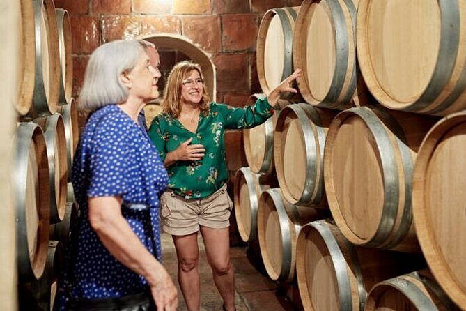 Burgundy wine tour - Private tour with professional tour guide ! - Exploring Burgundy’s Vineyards