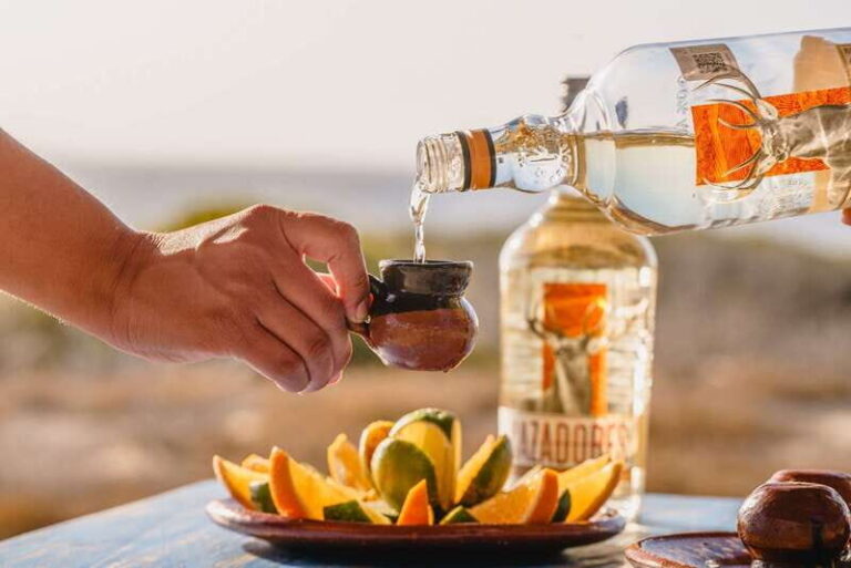 Cabo: ATV, Camel Ride, Mexican Lunch, and Tequila Combo Tour - What You Can Expect on This Tour