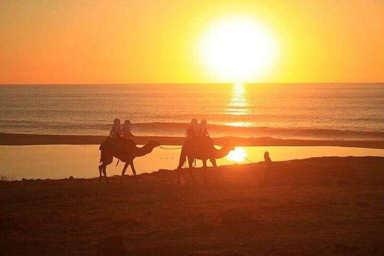 Cabo: Camel Ride On The Beach - The Allure of a Camel Ride on the Beach