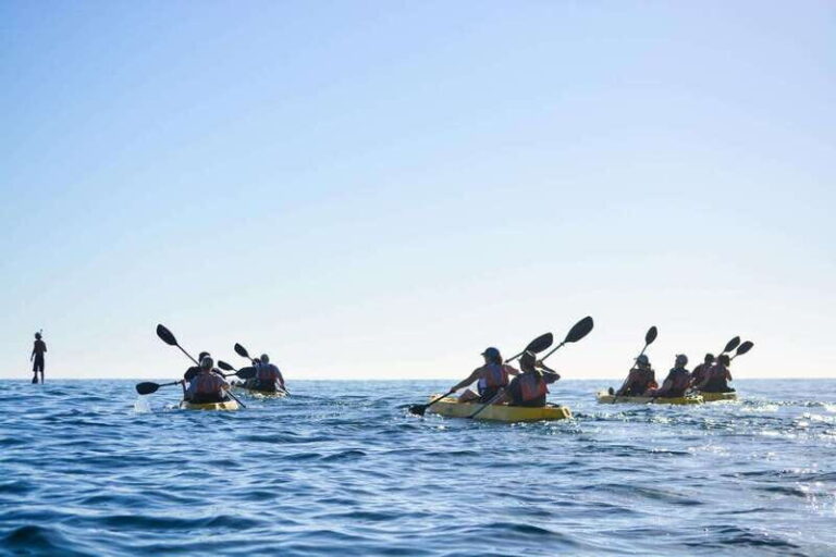 Cabo: Half-Day Kayak & Snorkel to Santa Maria & Chileno Bay - Why This Tour Offers Great Value